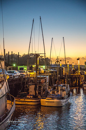 141011_California_019