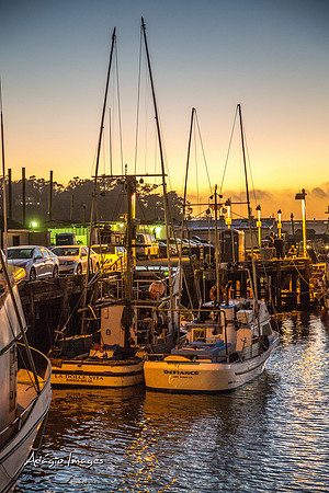 141011_California_018