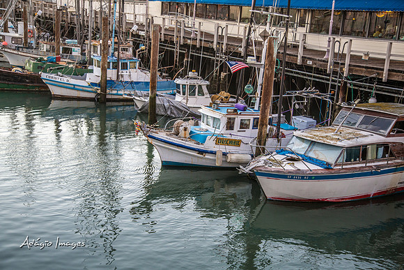 141011_California_007