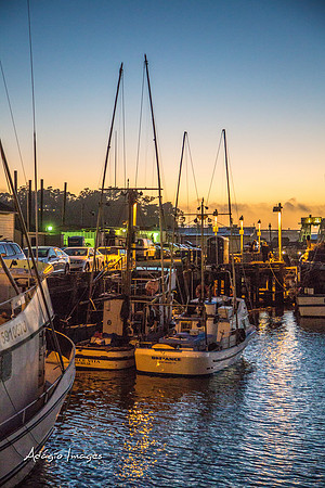 141011_California_017