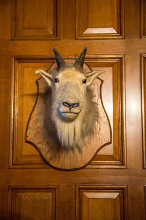 170801_Craigdarroch Castle_3486