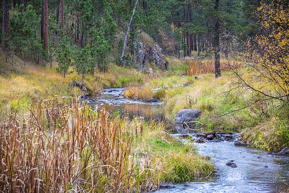 Custer State Park