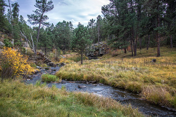 Custer State Park