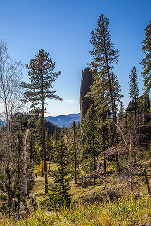 Needles Highway - Climbing