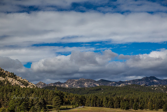 Custer State Park