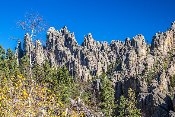 Needles Highway
