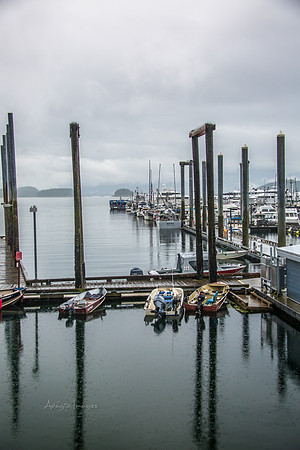 170727_Alaska_1844