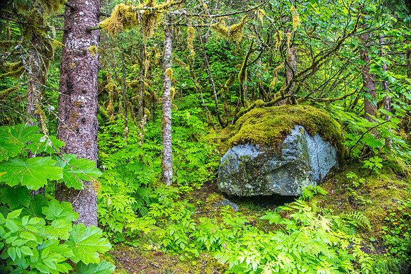 170727_Alaska_1884