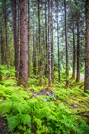 170727_Alaska_1889