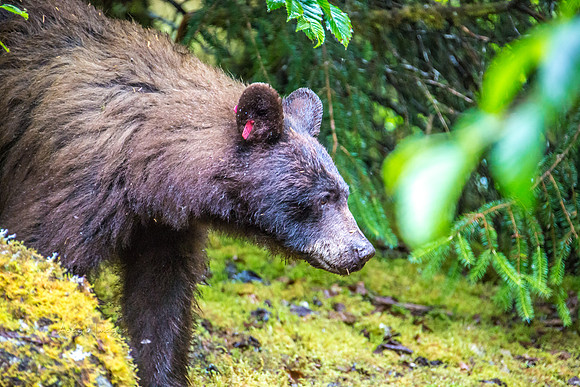 170727_Alaska_2025
