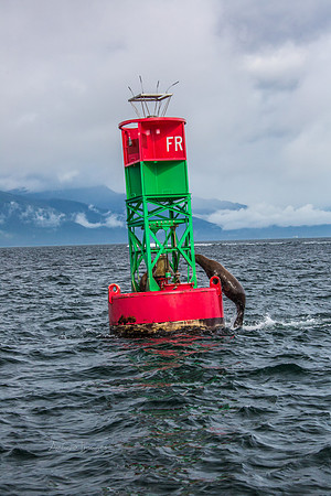 170727_Alaska_1744