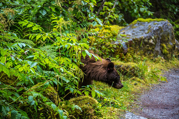 170727_Alaska_1919