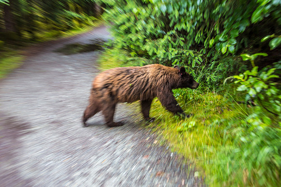 170727_Alaska_2038