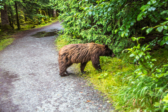 170727_Alaska_2041