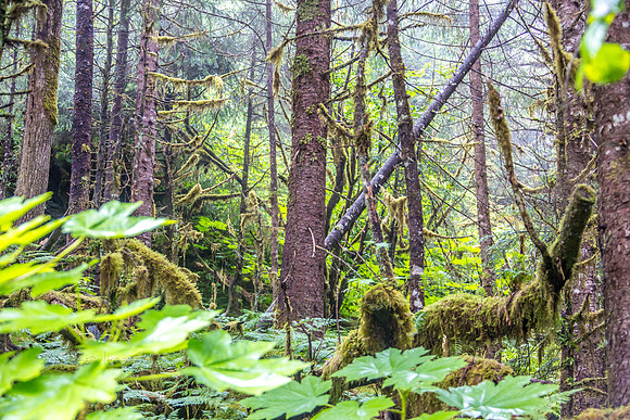 170727_Alaska_1897