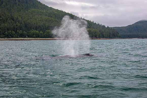170727_Alaska_1793