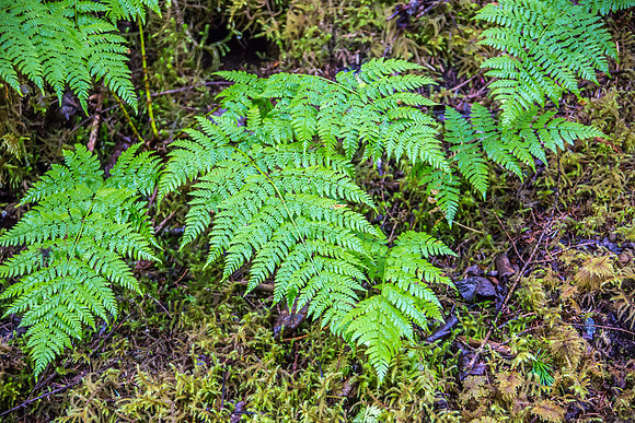170727_Alaska_1894