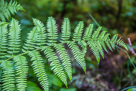 170727_Alaska_1853