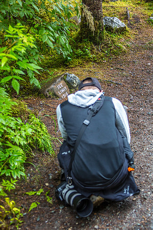 170727_Alaska_1907