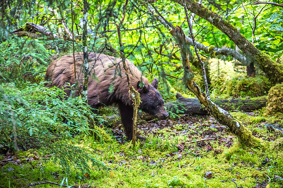170727_Alaska_1975