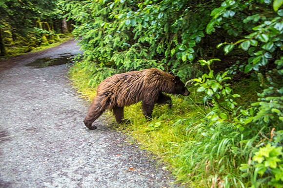 170727_Alaska_2043