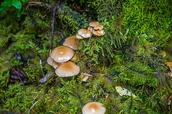 170727_Alaska_1849