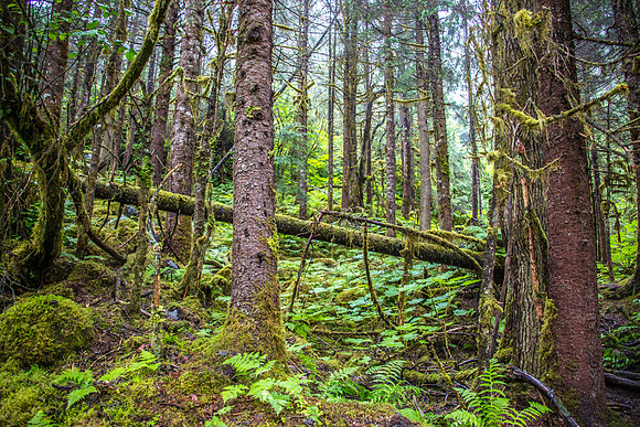 170727_Alaska_1895