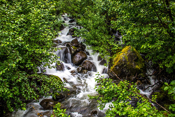 170727_Alaska_1904