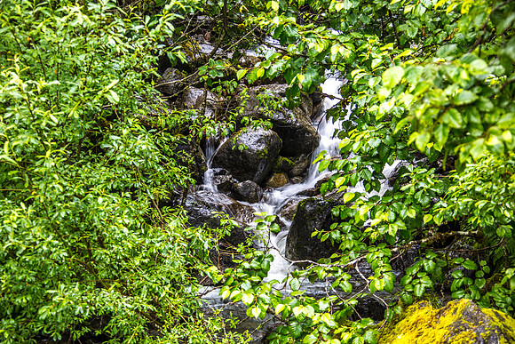 170727_Alaska_1906