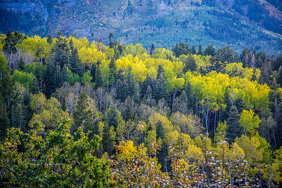 160917_alpine loop_090