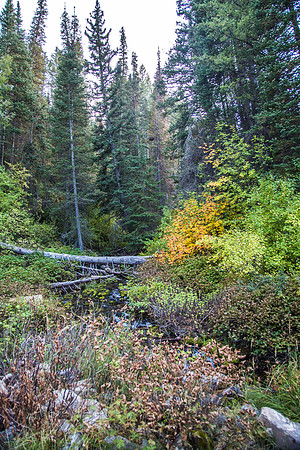 160917_alpine loop_103