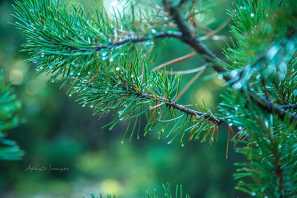 180818_Uintah_004