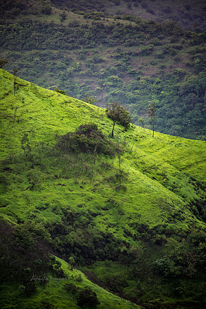 170702_India_611