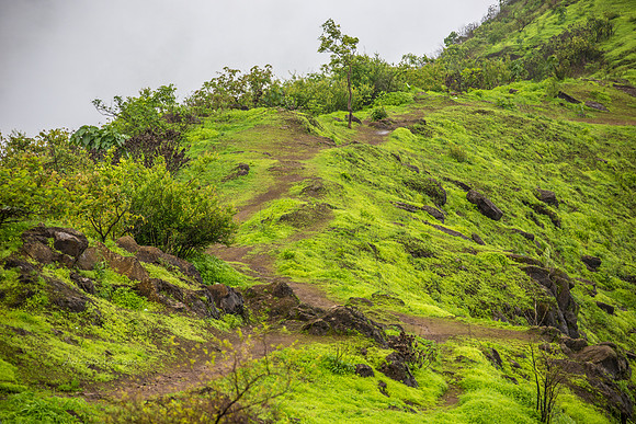 170702_India_633