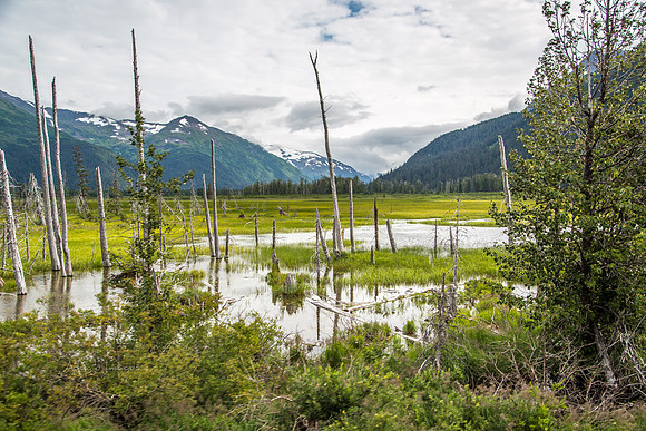170724_Alaska_377