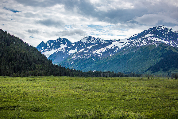 170724_Alaska_381