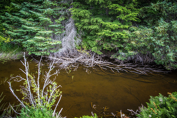 170724_Alaska_314