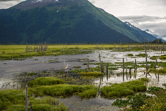 170724_Alaska_362