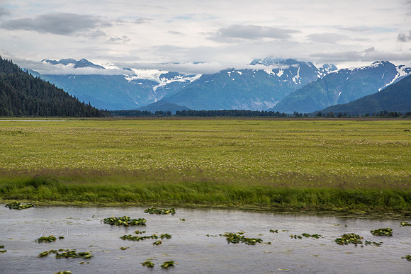 170724_Alaska_363