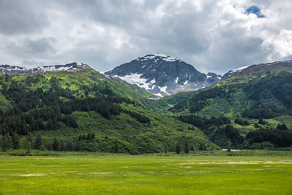 170724_Alaska_411