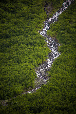170724_Alaska_508