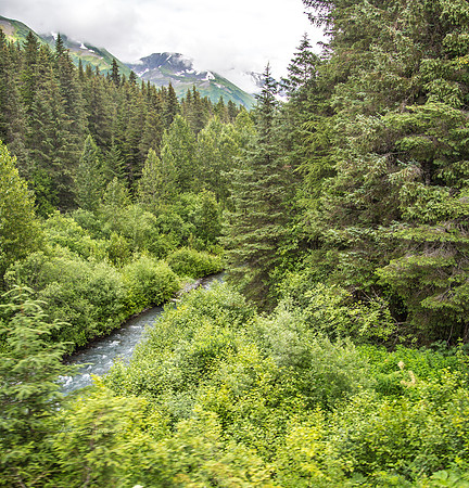 170724_Alaska_321