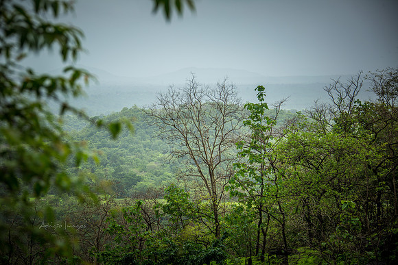 170701_India_174