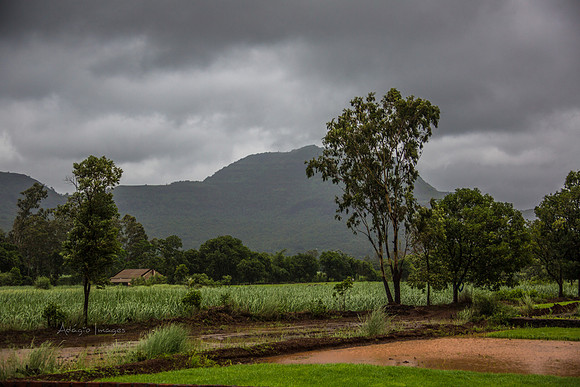 170701_India_240