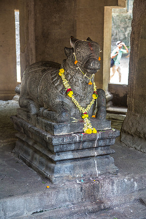170711_India_1383