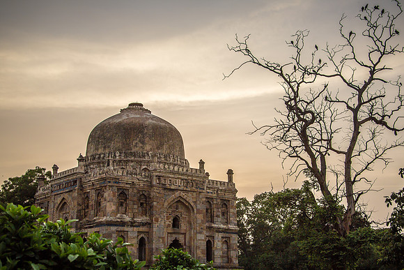 New Delhi - Lodhi Garden