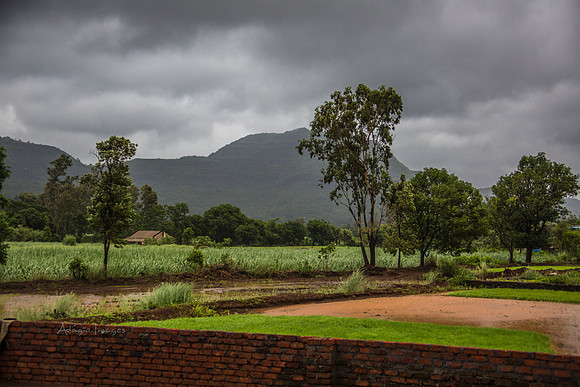170701_India_238