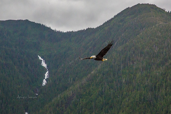 170729_Alaska_3007-Edit-Edit