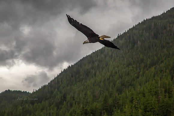 170729_Alaska_2992