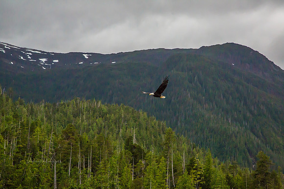 170729_Alaska_2987